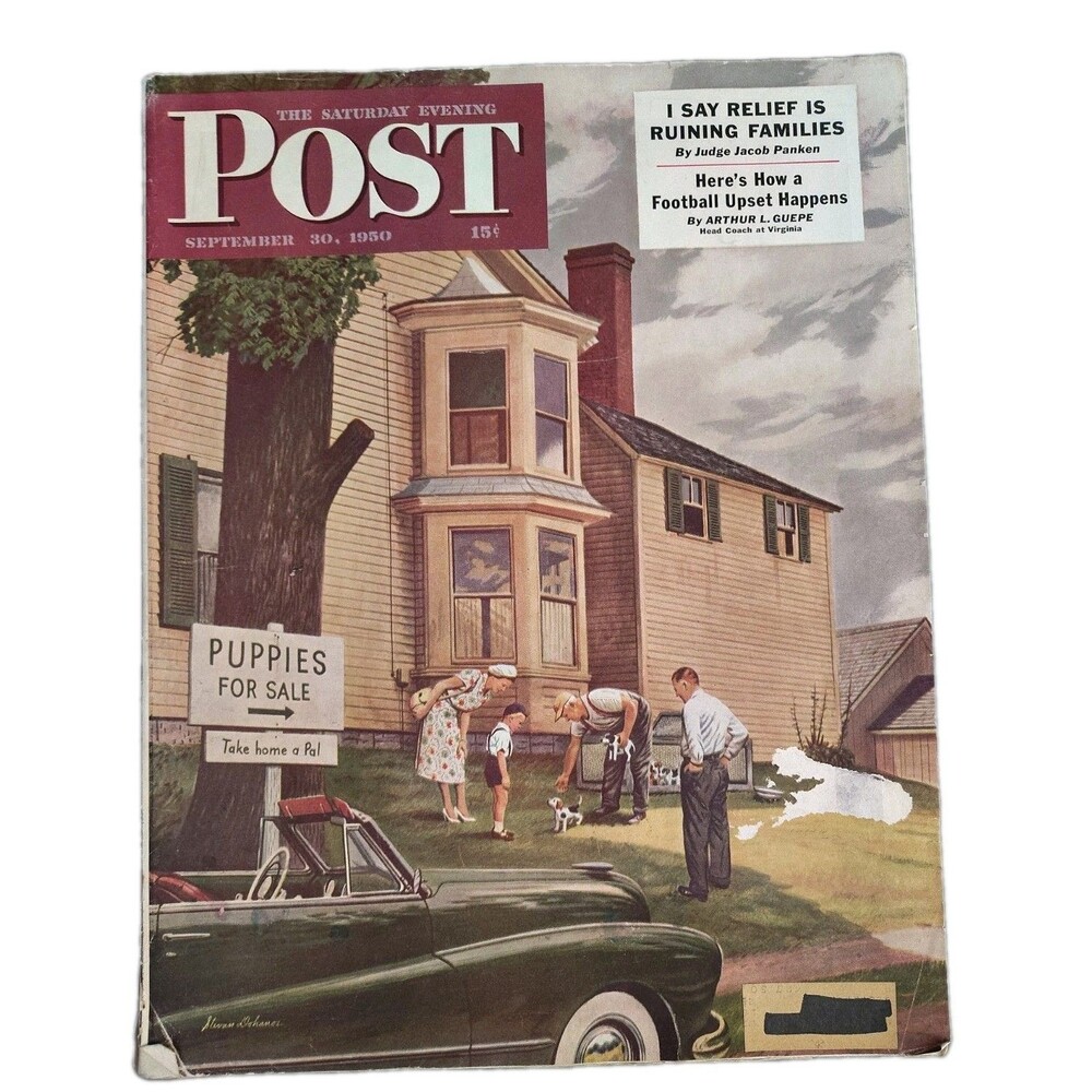 SATURDAY EVENING POST COVER 1950 Puppies for sale by Stevan Dohanos